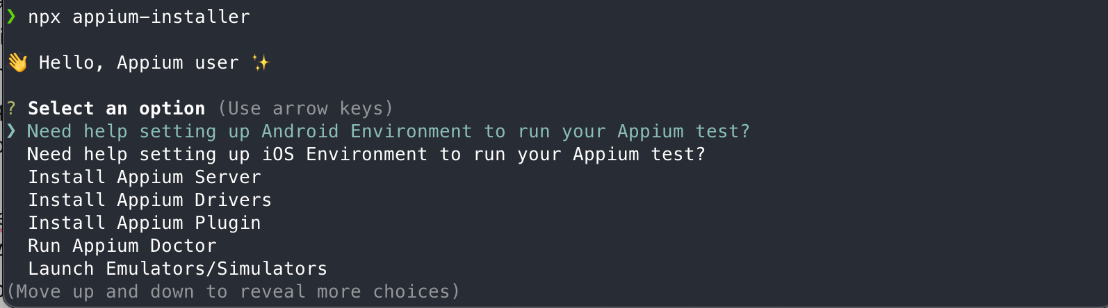 Appium installer