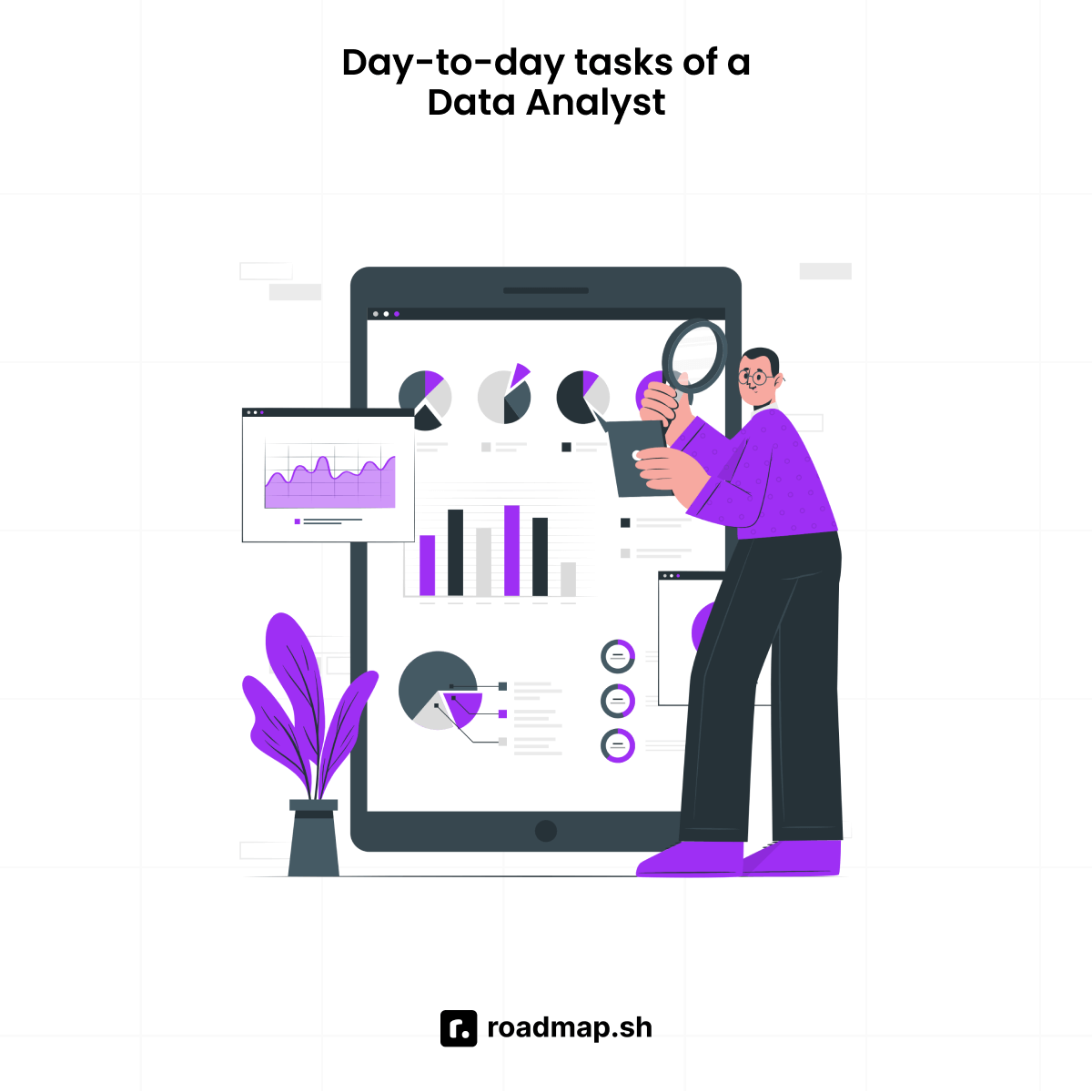 Day-to-day tasks of a data analyst