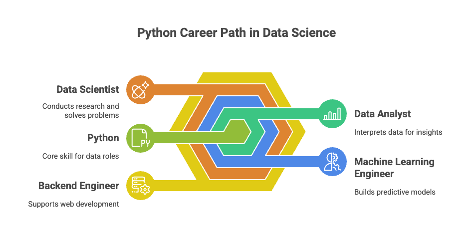 Python career options